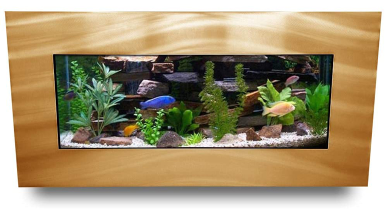 Curated visual reference: Wall Mounted Fish Tank Reference: 8 Best Wall Mounted Fish Tanks 2020 Review And Buyer