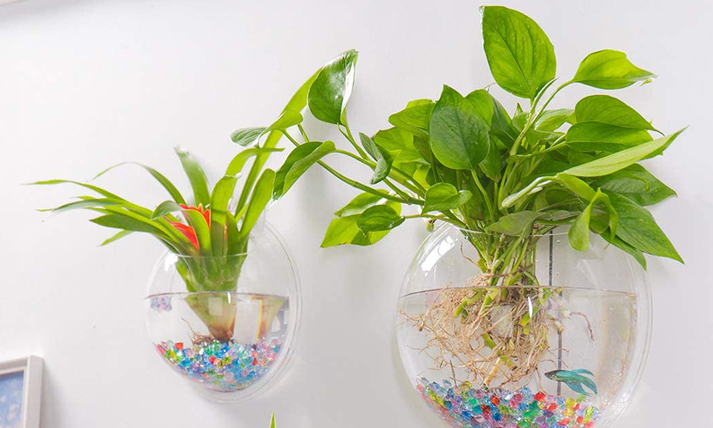 Determine Your Filtration System