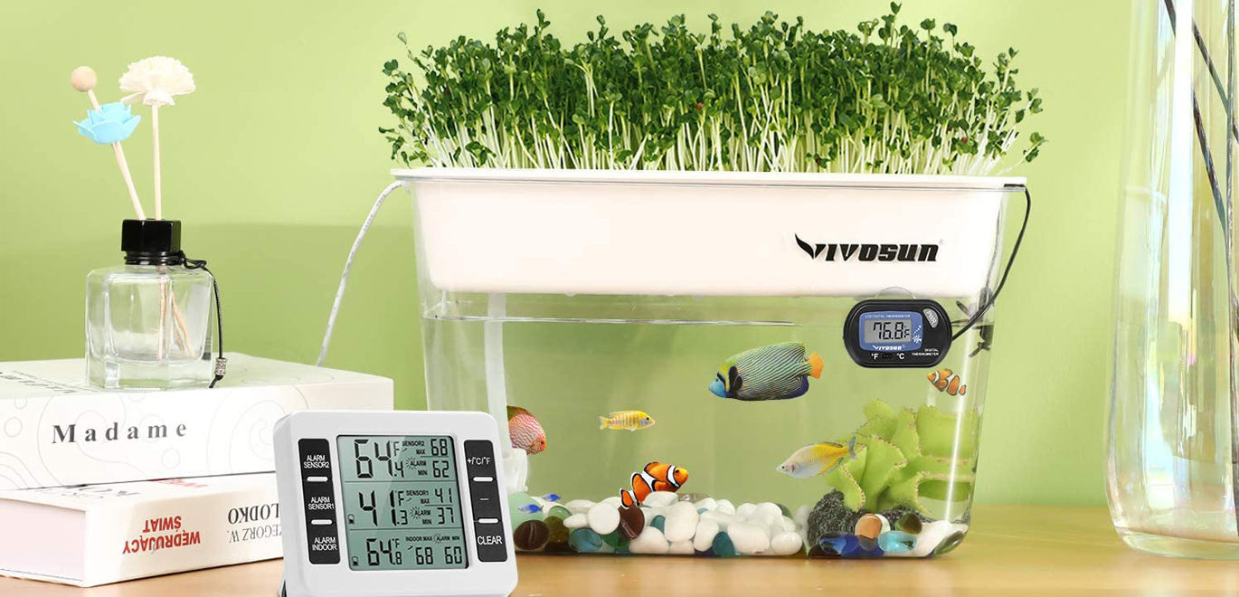 Best SelfCleaning Fish Tanks The Ultimate Review Guide